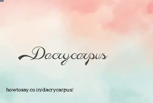 Dacrycarpus