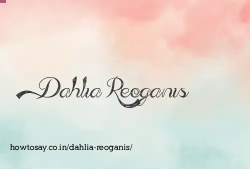 Dahlia Reoganis