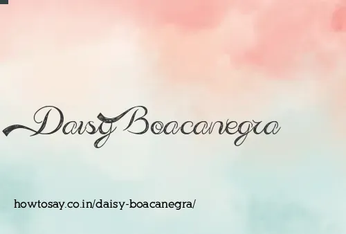 Daisy Boacanegra