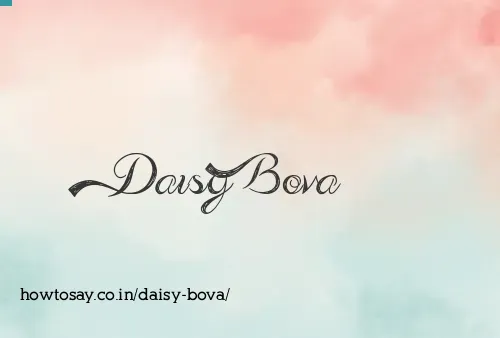 Daisy Bova