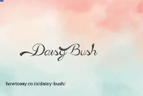 Daisy Bush