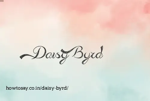 Daisy Byrd