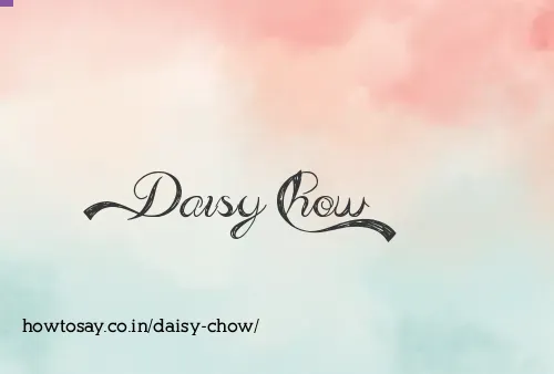 Daisy Chow