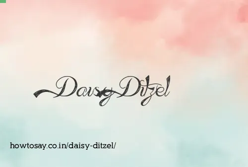 Daisy Ditzel