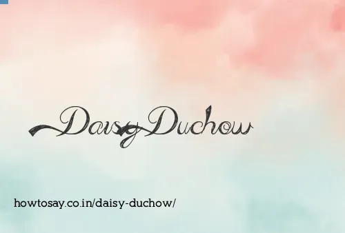 Daisy Duchow