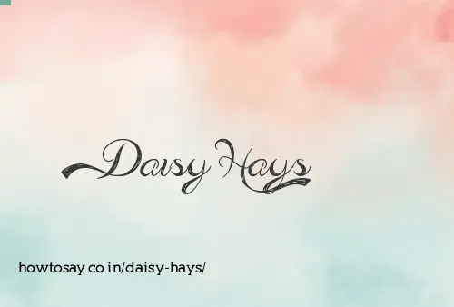Daisy Hays