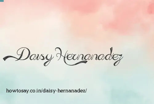 Daisy Hernanadez