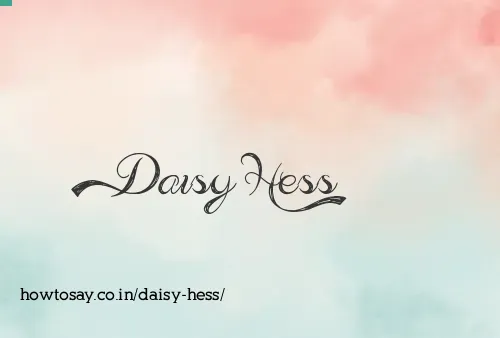 Daisy Hess