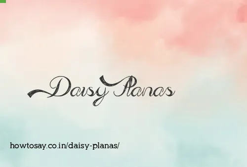 Daisy Planas
