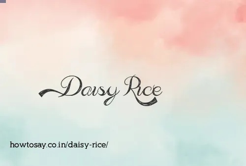 Daisy Rice