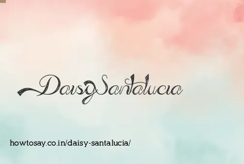Daisy Santalucia