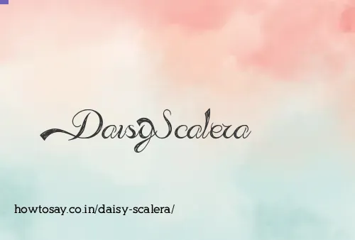 Daisy Scalera