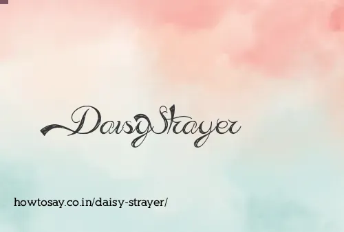 Daisy Strayer