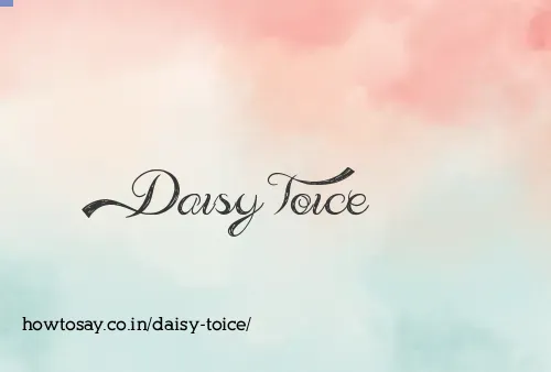 Daisy Toice