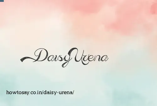 Daisy Urena