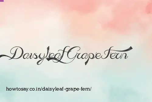 Daisyleaf Grape Fern