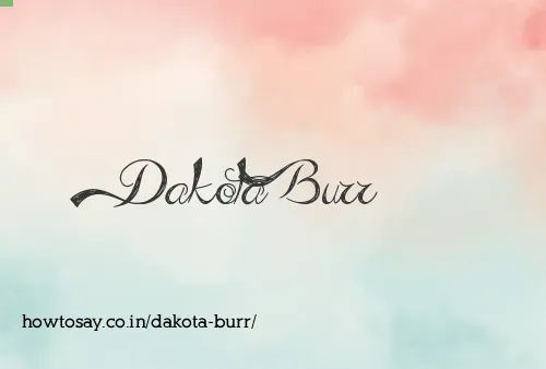 Dakota Burr