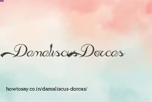 Damaliscus Dorcas