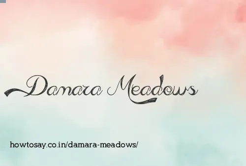 Damara Meadows