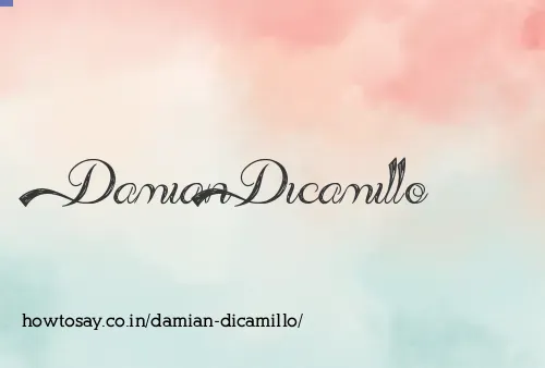 Damian Dicamillo