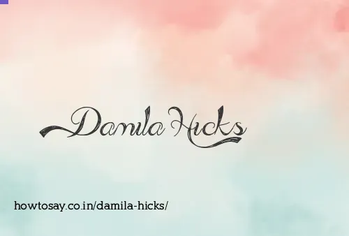 Damila Hicks