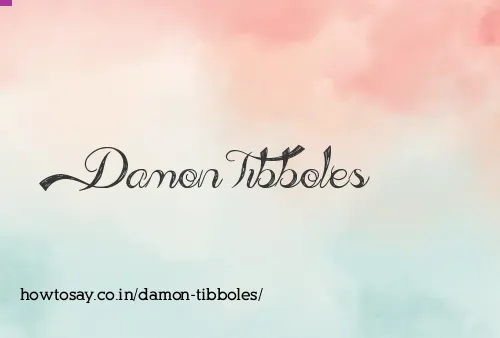 Damon Tibboles