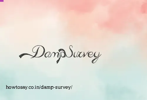 Damp Survey