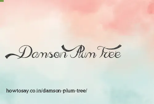 Damson Plum Tree
