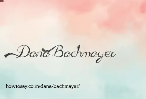 Dana Bachmayer