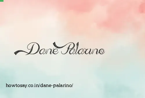 Dane Palarino