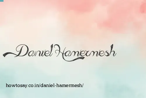 Daniel Hamermesh