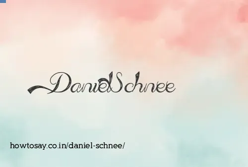 Daniel Schnee