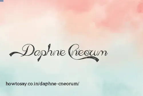 Daphne Cneorum