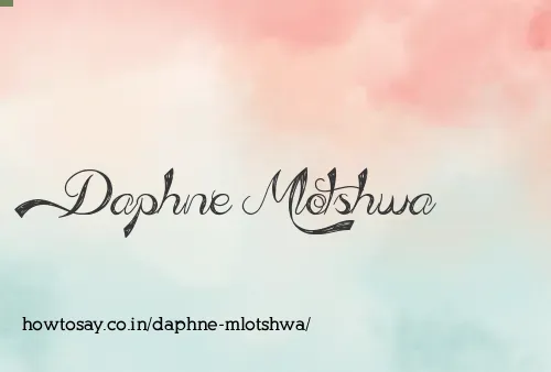 Daphne Mlotshwa