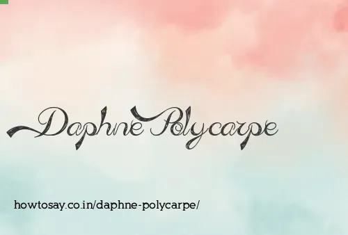 Daphne Polycarpe
