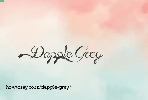 Dapple Grey