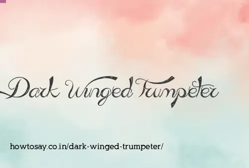 Dark Winged Trumpeter