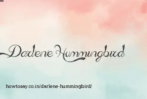 Darlene Hummingbird