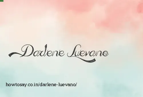 Darlene Luevano