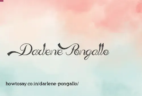 Darlene Pongallo