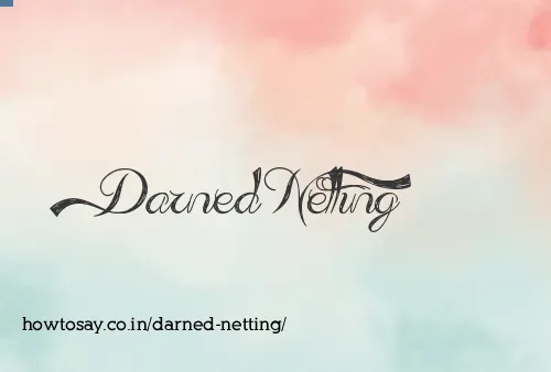Darned Netting