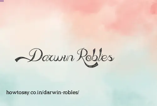 Darwin Robles