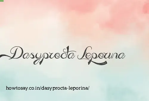 Dasyprocta Leporina