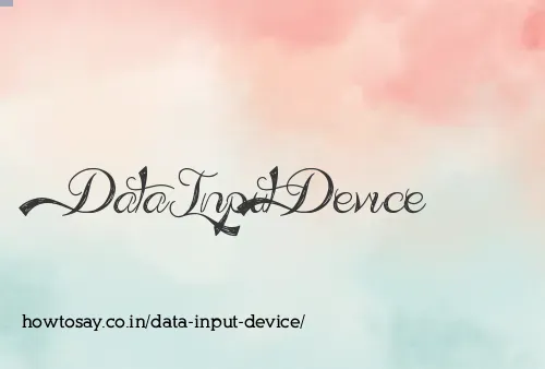 Data Input Device