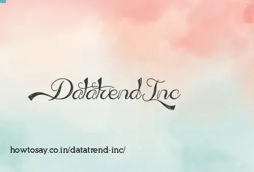 Datatrend Inc