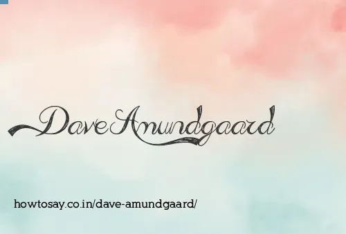 Dave Amundgaard