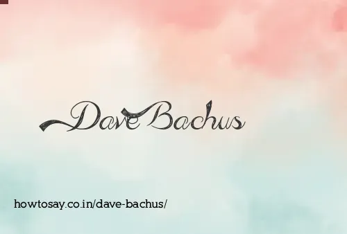 Dave Bachus