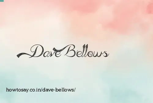 Dave Bellows