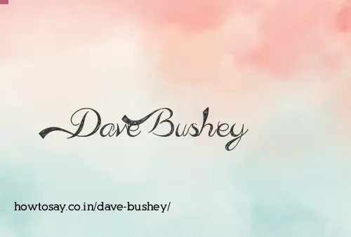 Dave Bushey