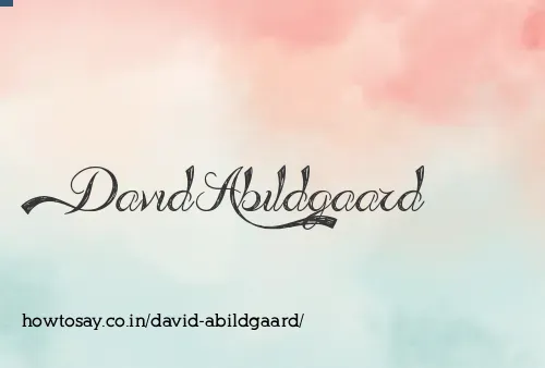 David Abildgaard